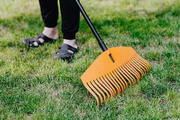 how-to-childproof-your-yard