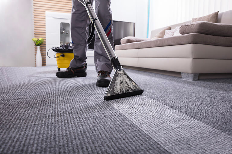 how-to-steam-clean-a-carpet