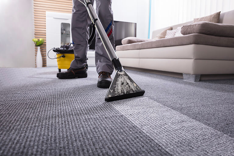 how-to-steam-clean-a-carpet-home-plus-cleaning