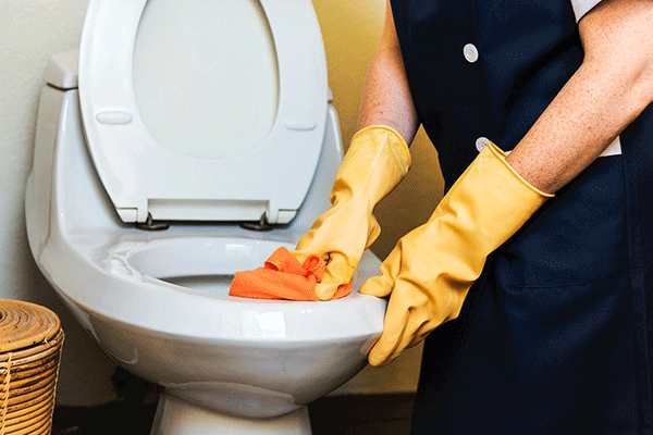 The Ultimate Guide to Cleaning a Toilet