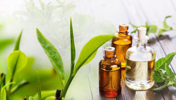 top-uses-and-benefits-of-tea-tree-oil